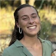 Cours de soutien solaire en Français et Mathématiques mais aussi en Latin et Grec ancien